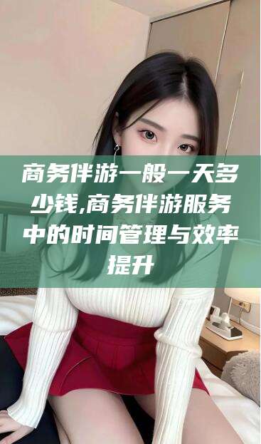 武安商务伴游一般一天多少钱,商务伴游服务中的时间管理与效率提升