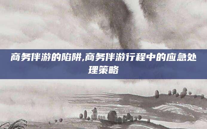 武安商务伴游的陷阱,商务伴游行程中的应急处理策略